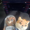 지하철역사 (정부청사역) | DAY6 10th Anniversary Tour The DECADE 대전 in Dcc