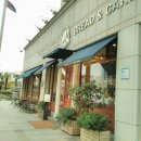 주정차단속-101 이미지