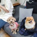 절미하우스