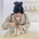 미야옹실 이미지