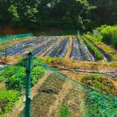 용곡농장 이미지