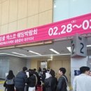 신혼여행(허니문) 준비 시작! 자유여행 vs 전문 여행사 고민하다가 결국 엑스코로 결정한 이유 ✈️