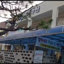 벌떡새우 이미지