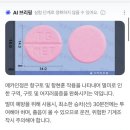 이조약국 | 대마도 1박 2일 여행 (히타in 이즈out 세세한 정보 공유)