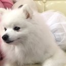 단미정원 이미지