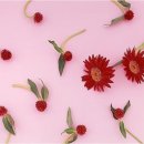 고운스킨 이미지