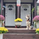 산새소리물새소리 이미지