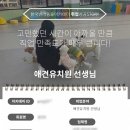 코리아 K9 애견훈련소 | 펫유치원교원 자격증 공부 후기 실습도 받고 있는 중