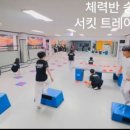 위너태권도 이미지