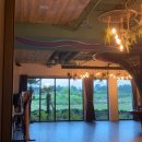 돼지블라썸 이미지