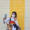 오간식영등포점 이미지