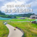 강원도 횡성 웰리힐리파크 리조트 루지 고카트까지 가성비 있게 즐기기