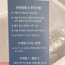 청귤로우리집