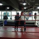 쌍룡복싱체육관 이미지