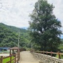상촌면 간이화장실(등산로-쉼터) | DMZ 평화의 길 25코스 양구 두타연갤러리 평화쉼터-송현리 캠핑장-직연폭포-양구백자박물관-금악교...