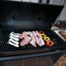 오션바이브 이미지