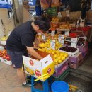 대영청과 이미지