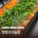 오리오리사거리 밑 | [목동 화곡동 노포맛집] 오리주물럭 연탄불 한방오리농장 내돈내산 솔직후기