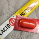 비타민민박 이미지