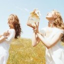DAISY HAIR(데이지 헤어) 이미지