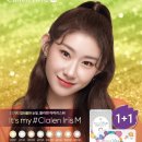 글라스패밀리 이미지