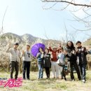 불타는청춘 동아일보