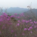 포암산민박
