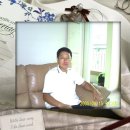 타잔인테리어 Daum카페
