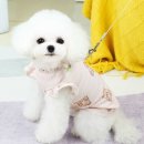나라애견 쇼핑하우