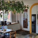 전대약국 이미지