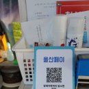 암돼지한마리 암소한마리 이미지