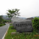 2022년 5월 5일 제856차 빛고을새즈믄산악회 백계산(505m)(광양)정기산행안내 이미지