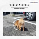 가짜삼촌여행사 이미지
