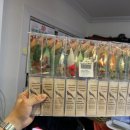 하나유선(하나호) 이미지