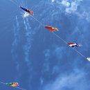 하주초등학교 이미지