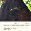 하늘소 - 광명시 오리로964번길 23-1 | 하늘소