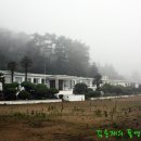 사량초등학교돈지분교장 이미지