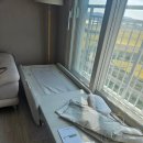 세라젬 V9 후기후긔