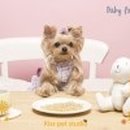 스튜디오키스 이미지