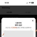 냐옹지마