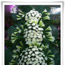 서호동-71 이미지