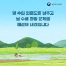 강화쌀