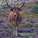 우주공원 이미지