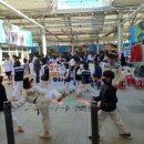 경산 엘리트 태권도장 이미지