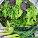 행순농장 이미지