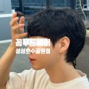 꼼무드맨즈헤어성성