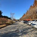 천년의 숲 화장실 | 경주 당일치기 추천코스 l 경북천년숲정원 산책 후기