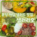 샐러리오 네이버블로그