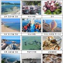 장사어촌체험마을 이미지