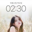 감악산비 | 경남 거창 감악산 아스타국화 명소 별바람언덕 여행 후기 총정리